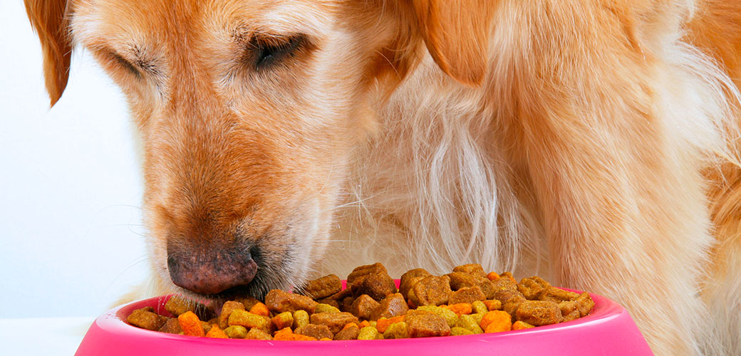 food for pet Tvafrinet